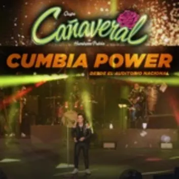 How Much is the Song Quiero Ser Como Tú (Desde El Auditorio Nacional) by Grupo Cañaveral De Humberto Pabón Worth? Royalty & Value Breakdown