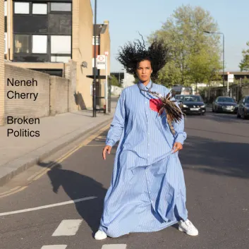 How Much is the Song Slow Release by Neneh Cherry Worth? Royalty & Value Breakdown