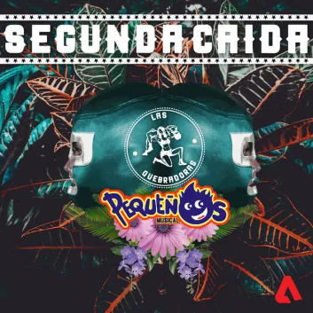 How Much is the Song Tu No Necesitas a Carlo - Regrabada by Banda Pequeños Musical Worth? Royalty & Value Breakdown