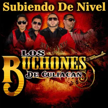 How Much is the Song La Entrevista Del Chapo by Los Buchones de Culiacan Worth? Royalty & Value Breakdown