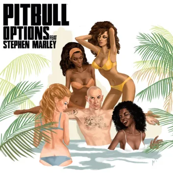 How Much is the Song Options by Pitbull Worth? Royalty & Value Breakdown