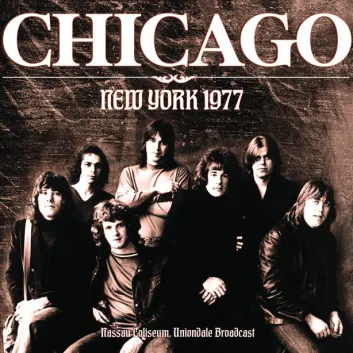 How Much is the Song I've Been Searching So Long by Chicago Worth? Royalty & Value Breakdown