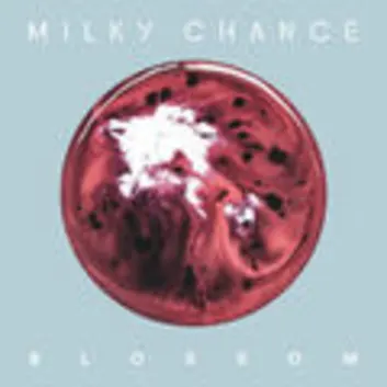 How Much is the Song Heartless by Milky Chance Worth? Royalty & Value Breakdown
