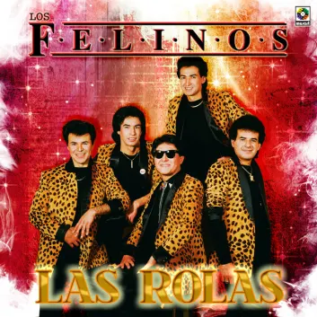 How Much is the Song La Raya by Los Felinos Worth? Royalty & Value Breakdown