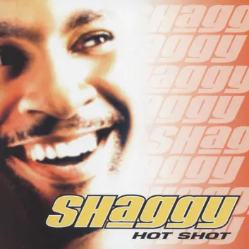 How Much is the Song Chica Bonita by Shaggy Worth? Royalty & Value Breakdown