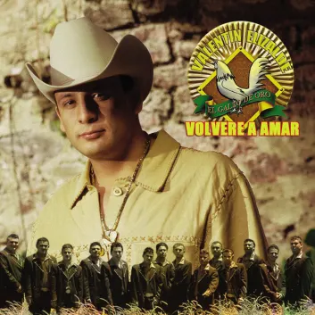 How Much is the Song Volvere A Amar by Valentín Elizalde Worth? Royalty & Value Breakdown