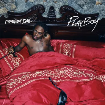 How Much is the Song Playboy by Fireboy DML Worth? Royalty & Value Breakdown