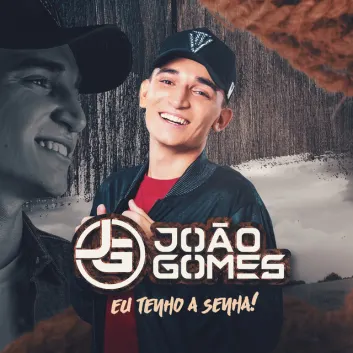 How Much is the Song É Amor by João Gomes Worth? Royalty & Value Breakdown