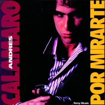 How Much is the Song Las Guerras by Andrés Calamaro Worth? Royalty & Value Breakdown