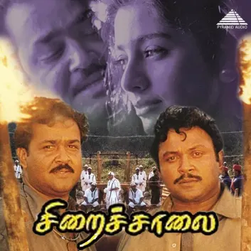 How Much is the Song Maaman Kurai Selai by Ilaiyaraaja Worth? Royalty & Value Breakdown