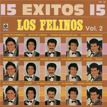 How Much is the Song El Crucero by Los Felinos Worth? Royalty & Value Breakdown