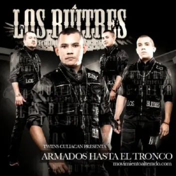 How Much is the Song El Adicto by Los Buitres De Culiacan Sinaloa Worth? Royalty & Value Breakdown