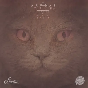 How Much is the Song Wall - Lauer Remix by ARTBAT Worth? Royalty & Value Breakdown