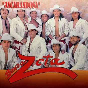 How Much is the Song Zapatos De Bailador by Banda Zeta Worth? Royalty & Value Breakdown