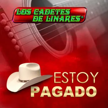 How Much is the Song Reina Mia by Los Cadetes De Linares Worth? Royalty & Value Breakdown