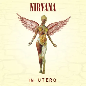 How Much is the Song Rape Me by Nirvana Worth? Royalty & Value Breakdown