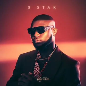 How Much is the Song Do Not Disturb by King Promise Worth? Royalty & Value Breakdown