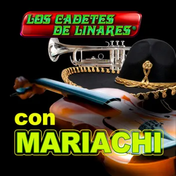 How Much is the Song Ana Maria by Los Cadetes De Linares Worth? Royalty & Value Breakdown