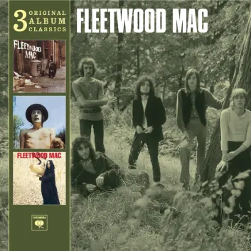 How Much is the Song Coming Home by Fleetwood Mac Worth? Royalty & Value Breakdown