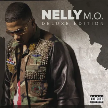 How Much is the Song Shake Whatever by Nelly Worth? Royalty & Value Breakdown