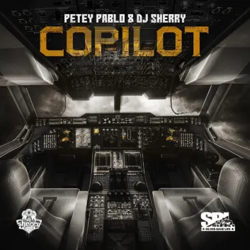 How Much is the Song Copilot by Petey Pablo Worth? Royalty & Value Breakdown