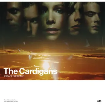 How Much is the Song Higher by The Cardigans Worth? Royalty & Value Breakdown