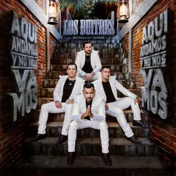 How Much is the Song Se Me Esta Haciendo Vicio by Los Buitres De Culiacan Sinaloa Worth? Royalty & Value Breakdown