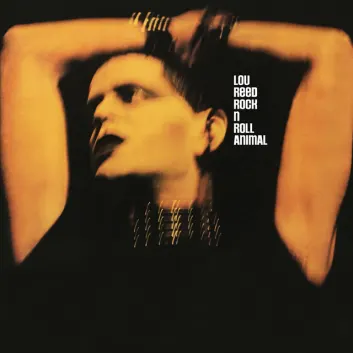 How Much is the Song Rock 'N' Roll - Live by Lou Reed Worth? Royalty & Value Breakdown