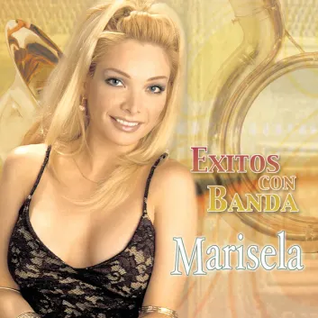 How Much is the Song Nunca Olvidare (Version Banda) by Marisela Worth? Royalty & Value Breakdown