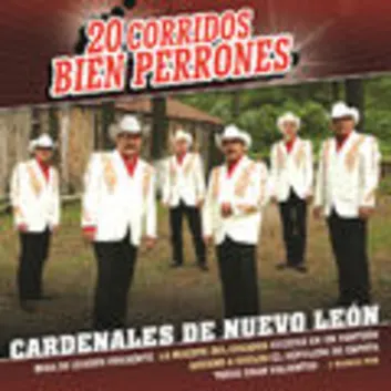 How Much is the Song La Muerte Del Cazador by Cardenales De Nuevo León Worth? Royalty & Value Breakdown