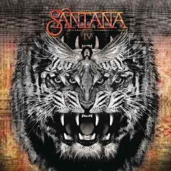 How Much is the Song Forgiveness by Santana Worth? Royalty & Value Breakdown