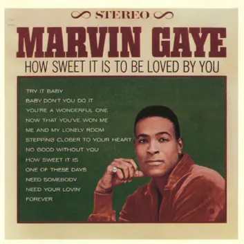 How Much is the Song Try It Baby by Marvin Gaye Worth? Royalty & Value Breakdown