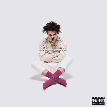 How Much is the Song Die For The Hype by YUNGBLUD Worth? Royalty & Value Breakdown