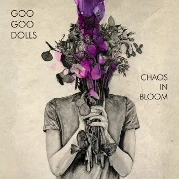 How Much is the Song Yeah, I Like You by The Goo Goo Dolls Worth? Royalty & Value Breakdown