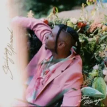 How Much is the Song Sides of Me by Masego Worth? Royalty & Value Breakdown