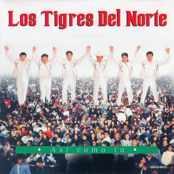 How Much is the Song El Hijo De Tijuana by Los Tigres Del Norte Worth? Royalty & Value Breakdown