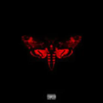 How Much is the Song Gunwalk by Lil Wayne Worth? Royalty & Value Breakdown