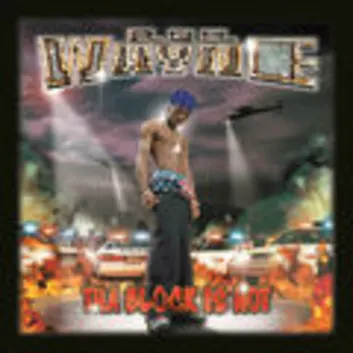 How Much is the Song Remember Me by Lil Wayne Worth? Royalty & Value Breakdown