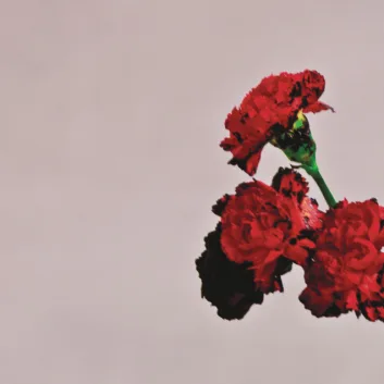 How Much is the Song Asylum by John Legend Worth? Royalty & Value Breakdown