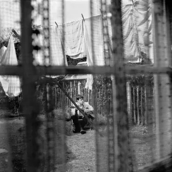 How Much is the Song Riding To Vanity Fair by Paul McCartney Worth? Royalty & Value Breakdown