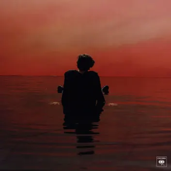 How Much is the Song Sign of the Times by Harry Styles Worth? Royalty & Value Breakdown