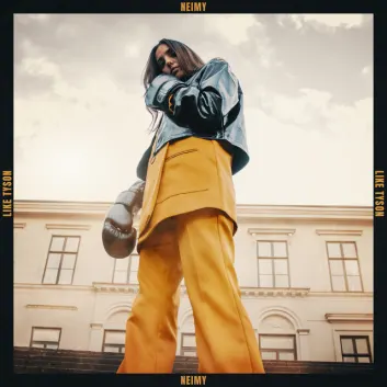 How Much is the Song Like Tyson by NEIMY Worth? Royalty & Value Breakdown