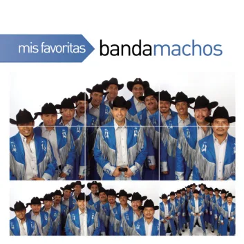 How Much is the Song Estás Seleccionada by Banda Machos Worth? Royalty & Value Breakdown
