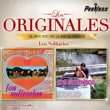 How Much is the Song Historia de un niño by Los Solitarios Worth? Royalty & Value Breakdown