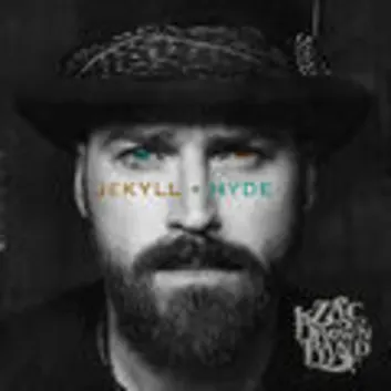 How Much is the Song One Day by Zac Brown Band Worth? Royalty & Value Breakdown