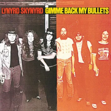 How Much is the Song Every Mother's Son by Lynyrd Skynyrd Worth? Royalty & Value Breakdown