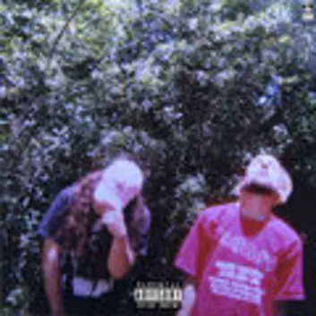 How Much is the Song $Outh $Ide $Uicide by $uicideboy$ Worth? Royalty & Value Breakdown