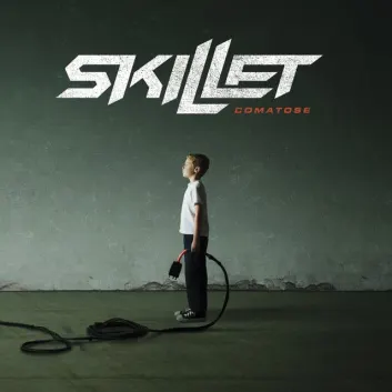 How Much is the Song Comatose by Skillet Worth? Royalty & Value Breakdown