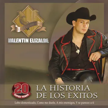 How Much is the Song Solo Dios by Valentín Elizalde Worth? Royalty & Value Breakdown