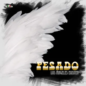 How Much is the Song Los Ángeles Existen by Pesado Worth? Royalty & Value Breakdown